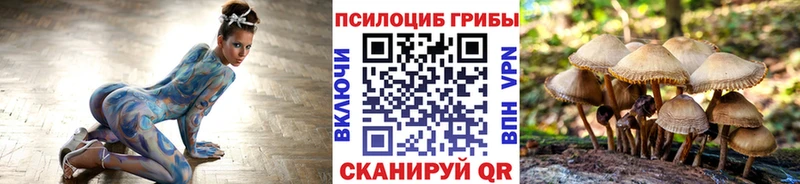 Псилоцибиновые грибы мухоморы  закладка  Кимовск 