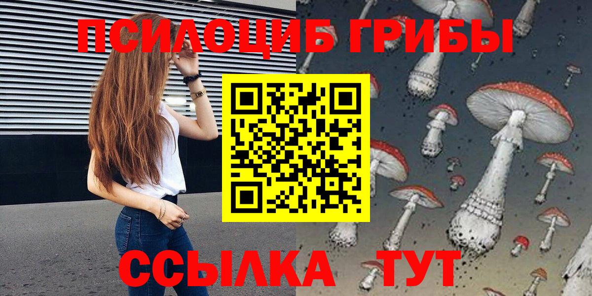 Псилоцибиновые грибы мицелий Кимовск