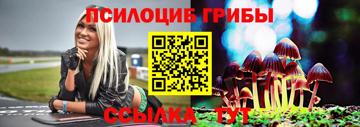 Кимовск  Псилоцибиновые грибы MAGIC MUSHROOMS  купить   Вход с VPN 